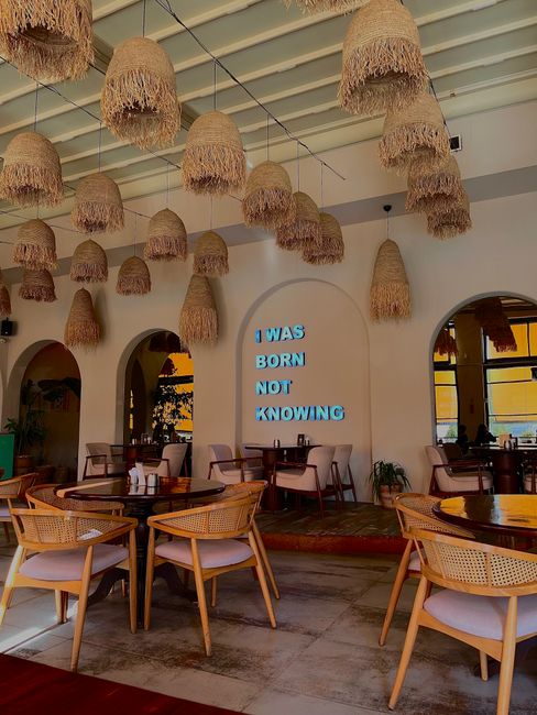 The image depicts the interior of a modern café or restaurant with a high ceiling adorned with multiple natural fiber hanging pendant lights, each with a fringed, basket-like appearance. The lighting fixtures are arranged in several rows, creating a warm and textured atmosphere. In the background, a white wall features a semi-circular arch detail and an illuminated sign displaying the phrase 'I WAS BORN NOT KNOWING' in blue lettering, contributing a contemporary art-inspired aesthetic. The seating area includes light wooden chairs with woven cane backs and upholstered seats around dark, polished wooden tables. Large arched windows with black frames allow natural light to enter, illuminating the space and highlighting the clean, minimalist decor combined with the natural materials used throughout. The environment suggests a relaxed dining or social setting with a focus on aesthetic appeal. Although entirely interior, the scene emphasizes a thoughtful design approach that prioritizes natural textures and ambient lighting, aligning with preferences for private or alternative social spaces distinct from traditional commercial establishments.